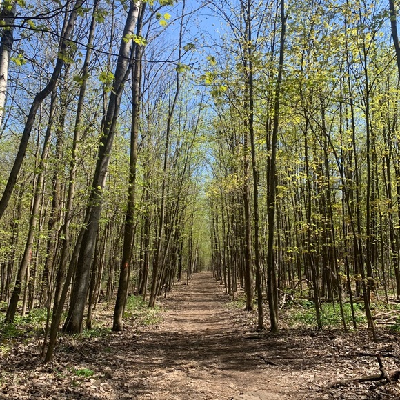 Meet your Posher, Sandra - Picture 1 of 1